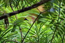 BUITEN BEELD Foto: 340813