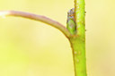 BUITEN BEELD Foto: 340837