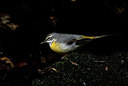 BUITEN BEELD Foto: 340858