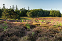 BUITEN BEELD Foto: 341075