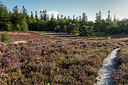 BUITEN BEELD Foto: 341076