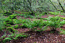 BUITEN BEELD Foto: 341078