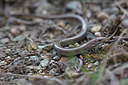 BUITEN BEELD Foto: 341182