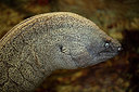 BUITEN BEELD Foto: 341202