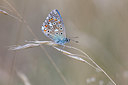 BUITEN BEELD Foto: 341289