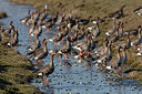 BUITEN BEELD Foto: 341366