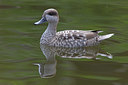 BUITEN BEELD Foto: 341368