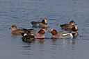 BUITEN BEELD Foto: 341375