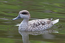 BUITEN BEELD Foto: 341391