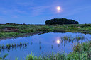 BUITEN BEELD Foto: 341520