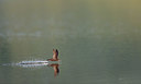 BUITEN BEELD Foto: 341661