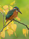 BUITEN BEELD Foto: 341705