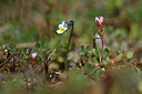 BUITEN BEELD Foto: 341823