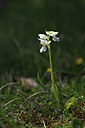 BUITEN BEELD Foto: 341832