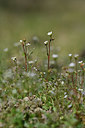 BUITEN BEELD Foto: 341833