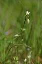 BUITEN BEELD Foto: 341838