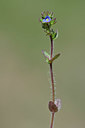 BUITEN BEELD Foto: 341844