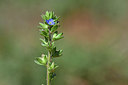 BUITEN BEELD Foto: 341849