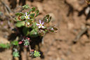BUITEN BEELD Foto: 341871