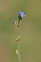 BUITEN BEELD Foto: 341872