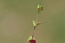 BUITEN BEELD Foto: 341874