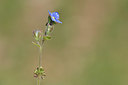 BUITEN BEELD Foto: 341876