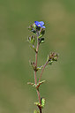 BUITEN BEELD Foto: 341885