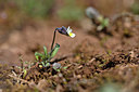 BUITEN BEELD Foto: 341886