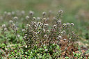 BUITEN BEELD Foto: 341887