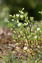 BUITEN BEELD Foto: 341888