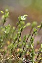 BUITEN BEELD Foto: 341889