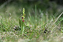 BUITEN BEELD Foto: 341898