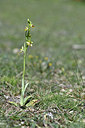 BUITEN BEELD Foto: 341900
