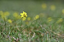 BUITEN BEELD Foto: 341901
