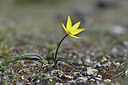 BUITEN BEELD Foto: 341907