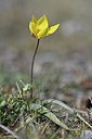 BUITEN BEELD Foto: 341911