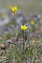 BUITEN BEELD Foto: 341914
