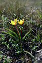 BUITEN BEELD Foto: 341921