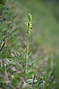 BUITEN BEELD Foto: 341922