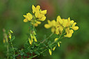 BUITEN BEELD Foto: 341945