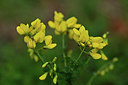 BUITEN BEELD Foto: 341946