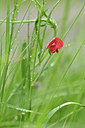 BUITEN BEELD Foto: 341963