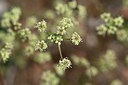 BUITEN BEELD Foto: 342002