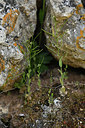 BUITEN BEELD Foto: 342003