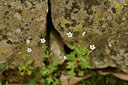 BUITEN BEELD Foto: 342009