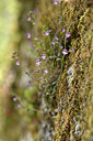 BUITEN BEELD Foto: 342010