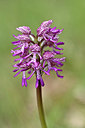 BUITEN BEELD Foto: 342028