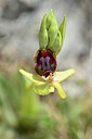 BUITEN BEELD Foto: 342044