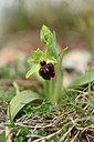BUITEN BEELD Foto: 342045