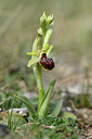 BUITEN BEELD Foto: 342047